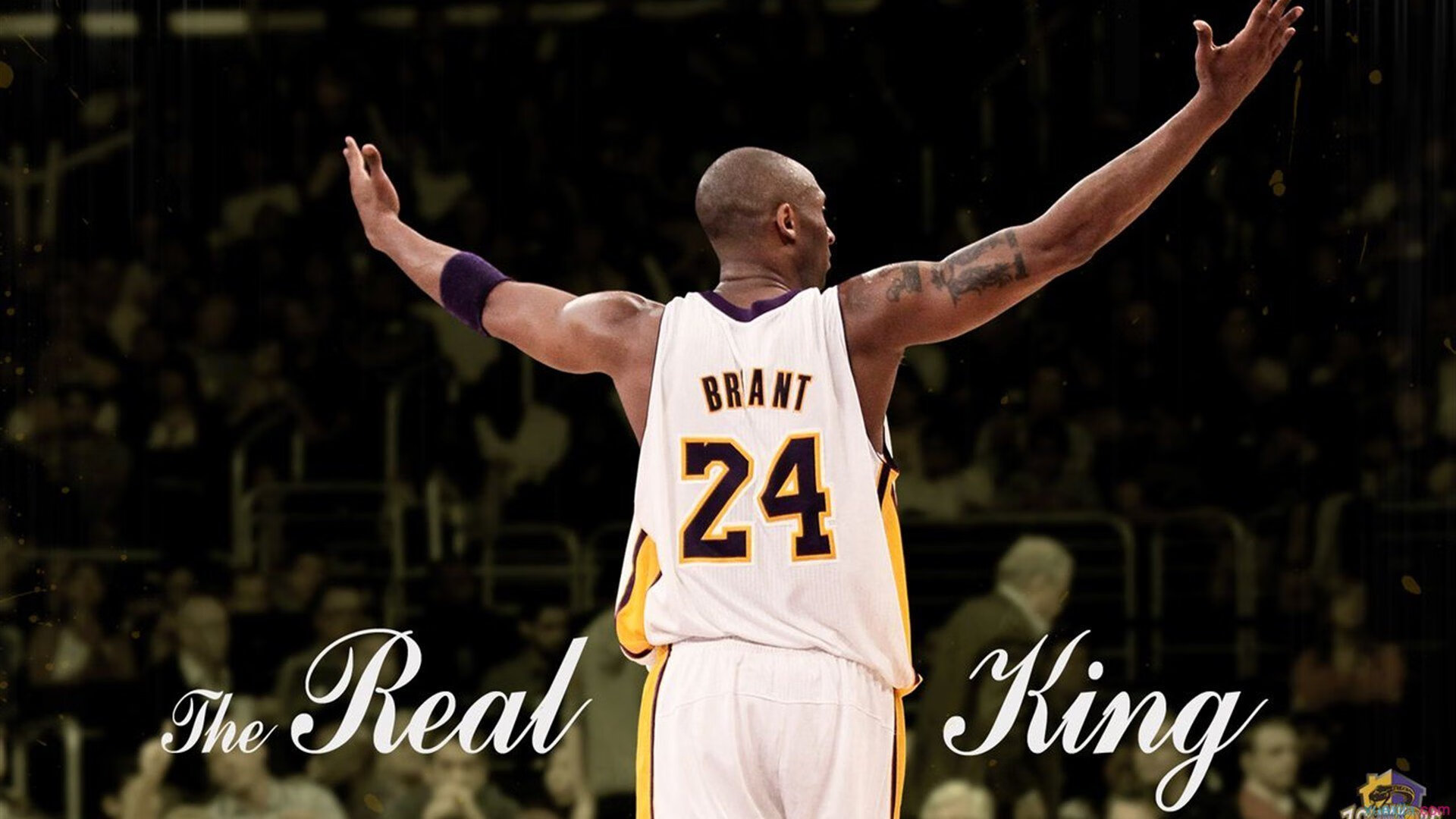 开云esports-_老将带领奇才，战斗精神令人敬佩_，老将挂帅出征